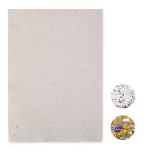 ASIDI - Hoja a4 de papel con semillas