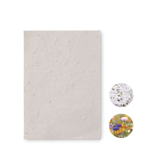 ASIDO - Hoja a6 de papel con semillas