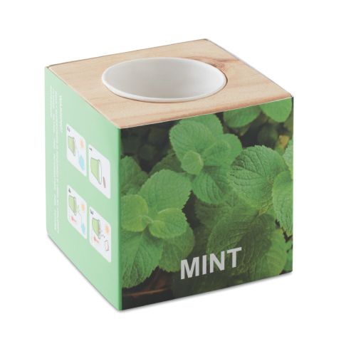 MENTA - Maceta con semillas de