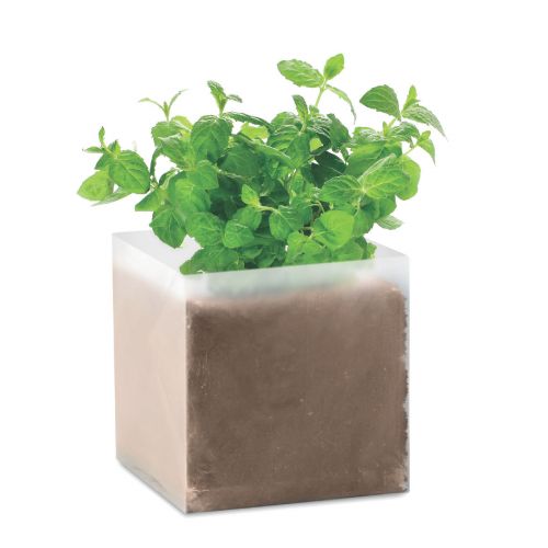 MINT - Bolsa semillas de menta