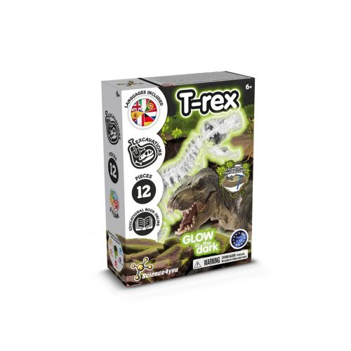 Fossil Excavation Kit I - Juego educativo para niños