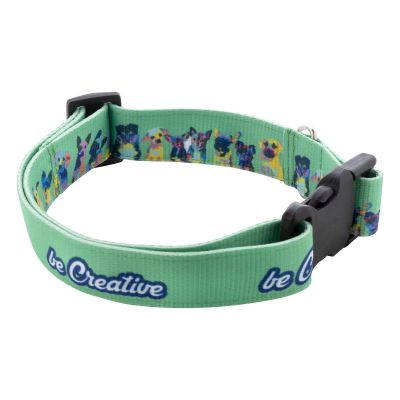 ZIGGY - collar de perro personalizado