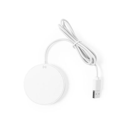 DIXLEM RCS - Cargador