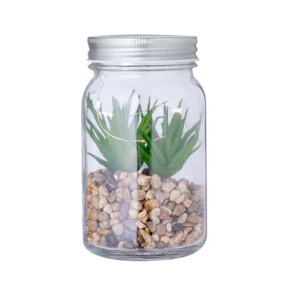 KYALA - Planta Decorativa