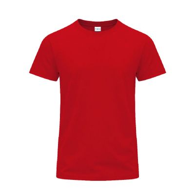PERKINS - Camiseta Adulto Color