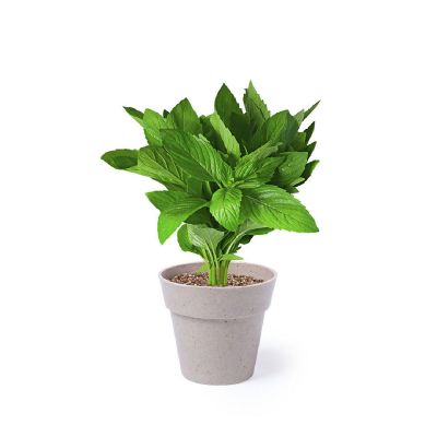 NERTEL - Set Macetas