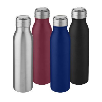 HARPER -Botella de acero inoxidable de 700 ml 