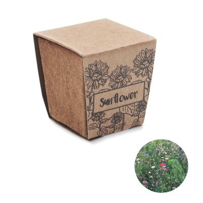 SUNFLOWER KIT - Kit de cultivo de girasoles