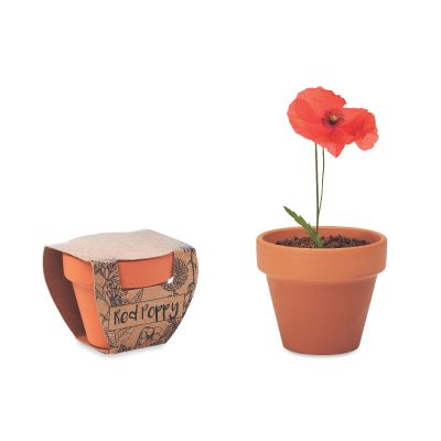 RED POPPY - Juego de macetas de terracota