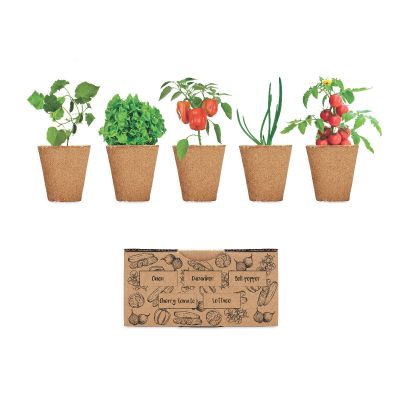 SALAD - Kit de cultivo de verduras