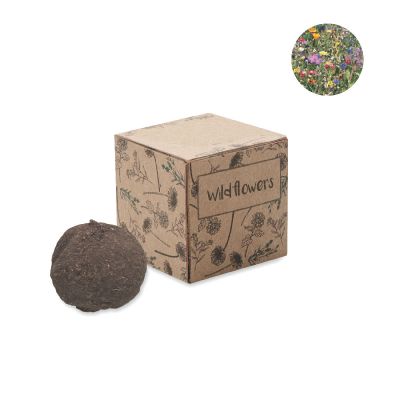 BOMBI - Kit de semillas
