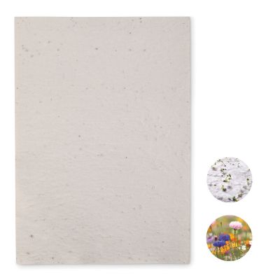 ASIDI - Hoja a4 de papel con semillas