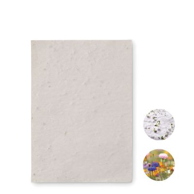 ASIDO - Hoja a6 de papel con semillas