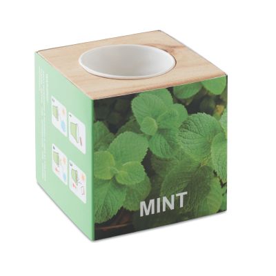 MENTA - Maceta con semillas de