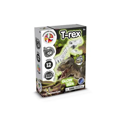 Fossil Excavation Kit I - Juego educativo para niños