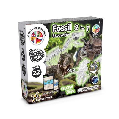 2 in 1 Fossil Excavation Kit I - Juego educativo para niños