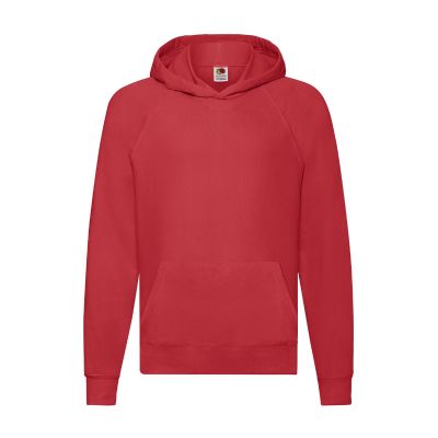 LIGHTWEIGHT HOODED S - Sudadera Niño