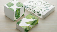 Cintas para cajas personalizadas