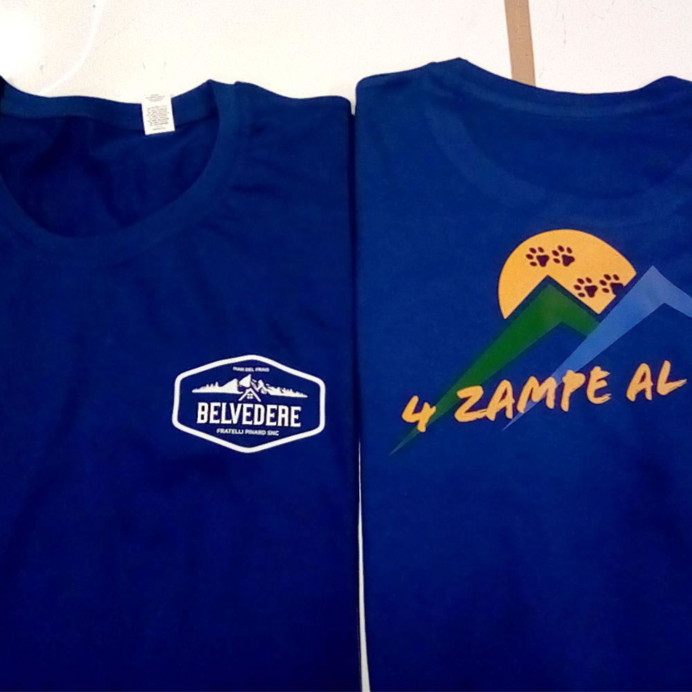 Transfer digital sobre tejido