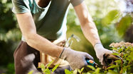 Artículos de jardinería personalizados